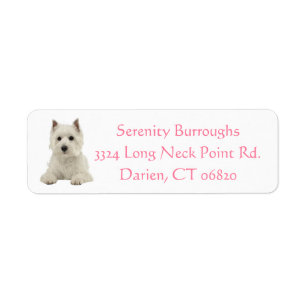 Cute Väster Highland White Terrier Puppy Hund Mam Returadress Etikett