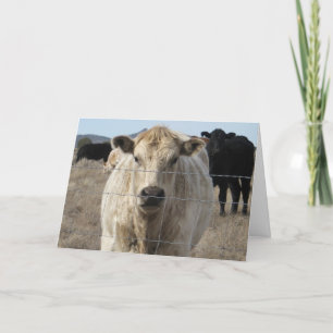 Cute Veterinarian Grattiss Ranch Farm DVM. Kort