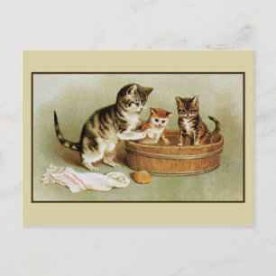 Cute Victorian cat badkattungar i badkar Vykort