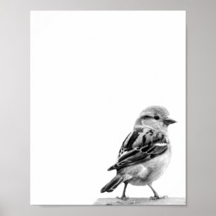 Cute Vild Bird Photo Poster