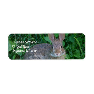 Cute Vild Brown Rabbit Wildlife Adress Returadress Etikett