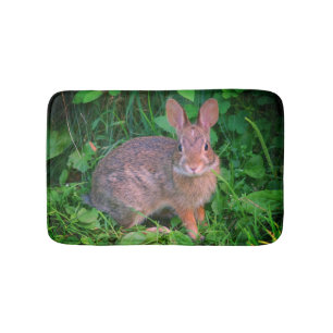 Cute Vild Brown Rabbit Wildlife Badrumsmatta