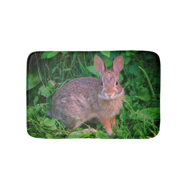Cute Vild Brown Rabbit Wildlife  Badrumsmatta (Framsidan)