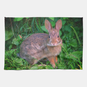 Cute Vild Brown Rabbit Wildlife Kökshandduk