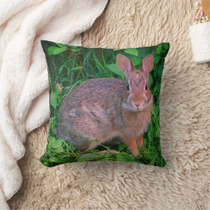 Cute Vild Brown Rabbit Wildlife Kudde
