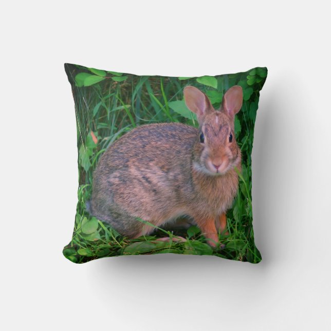 Cute Vild Brown Rabbit Wildlife  Kudde (Framsida)
