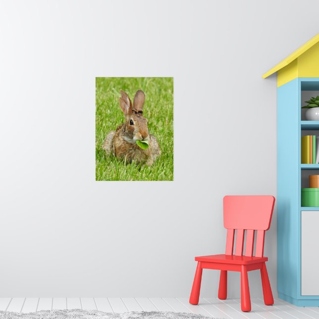 Cute Vild bunny Rabbit Eating Poster (Barnkammare 1)