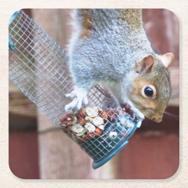 Cute Vild Grått Squirrel (UK) Underlägg Papper Kvadrat (Framsidan)