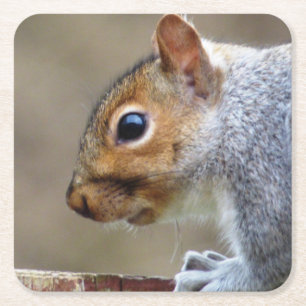 Cute Vild Grått Squirrel (UK) Underlägg Papper Kvadrat