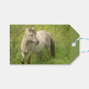 Cute Vild Horse Cust. Märkrn Textutfall Presentetikett