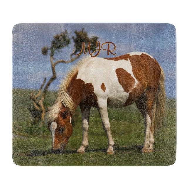 Cute Vild Pony på Dartmoor (Framsidan)