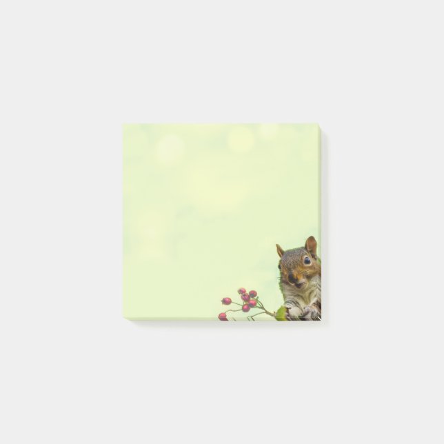 Cute Vild Squirrel on Lime Green Postit Notes Post-it Block (Framsida)