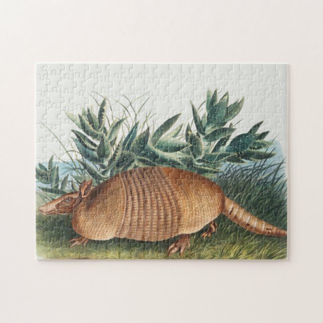 Cute Vintage Armadillo Illustration Pussel (Horisontell)