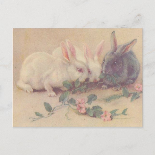 Cute Vintage Bunnies Vykort (Framsida)