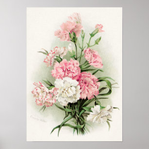 Cute vintage carnations home decer poster
