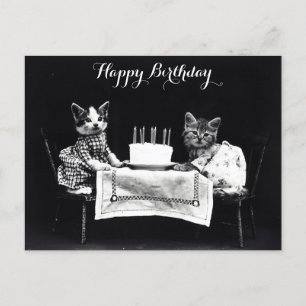Cute Vintage Cats Birthday Vykort