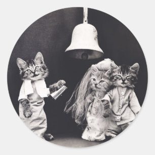 Cute Vintage Funny Kitten Couple Bröllop Ceremony Runt Klistermärke