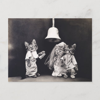Cute Vintage Funny Kitten Couple Bröllop Ceremony Vykort
