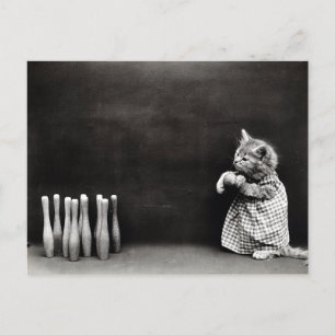 Cute Vintage Kitten Bowling Vykort