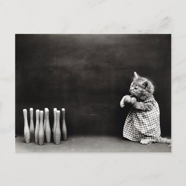 Cute Vintage Kitten Bowling Vykort (Framsida)