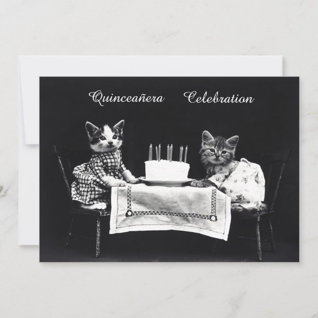 Cute Vintage Kittens Födelsedagsfest Inbjudningar (Framsida)