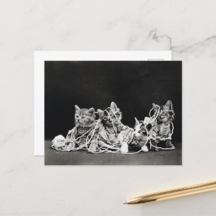 Cute Vintage Kittens med garn Vykort