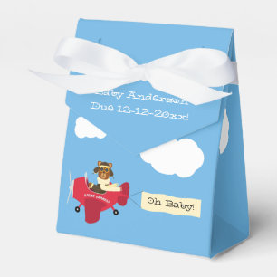 Cute Vintage Nalle Pilot Babyskor Presentaskar