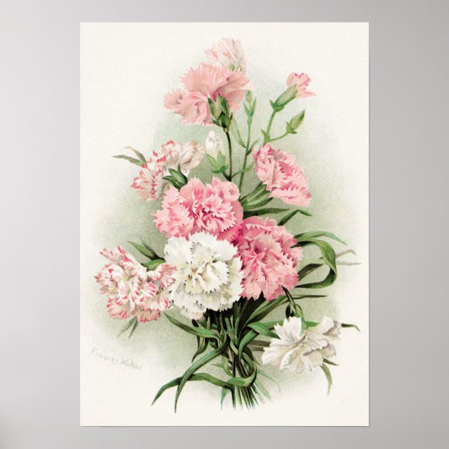 Cute vintage-nejlikor poster (Framsidan)