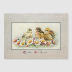 Cute Vintage Påsk Chickar och Daisy