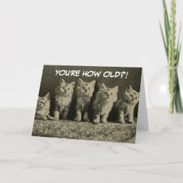 Cute Vintage Retro Kittens Grattis på födelsedagen Kort