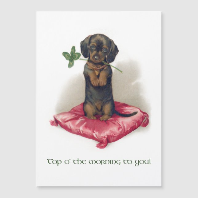 Cute Vintage St. Patrick's Day Dachshund w/Klöver (Framsida)