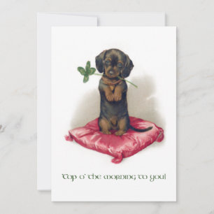 Cute Vintage St. Patrick's Day Dachshund w/Klöver Julkort