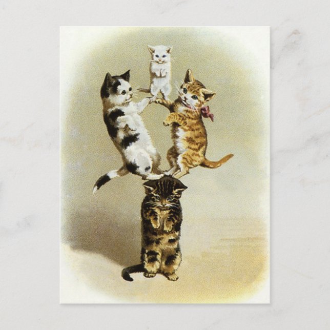 Cute Vintage Victorian Cats Kittens Spela, Humor Vykort (Framsida)