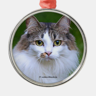Cute Visiting Long-Halls Calico Cat i Garden Julgransprydnad Metall