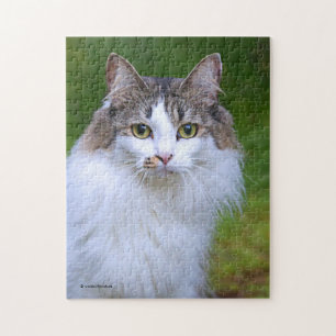 Cute Visiting Long-Halls Calico Cat i Garden Pussel