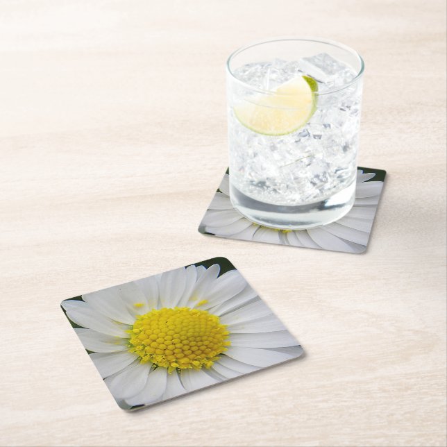 Cute, vit daisy underlägg papper kvadrat (Insitu)