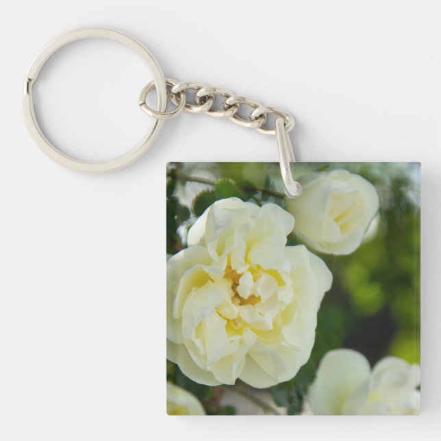 Cute vit ros för positivt (Framsidan)