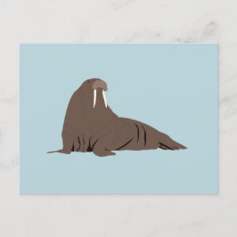 Cute Walrus Illustration Helg Vykort