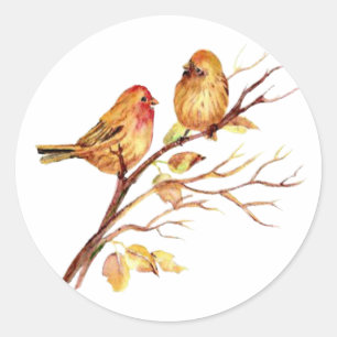 Cute Watercolor Bird par på Träd Gren art Runt Klistermärke