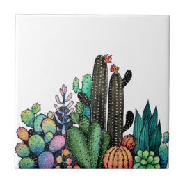 Cute Watercolor Cactus Garden in Pot Kakelplatta