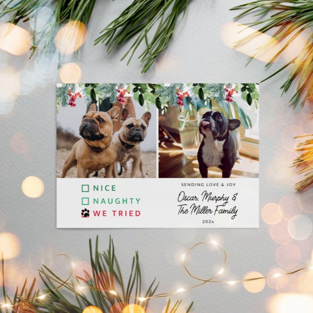 Cute Watercolor Pet Photo jul Julkort (Pet Photo Christmas Card)