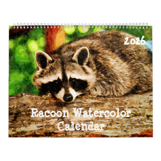 Cute Watercolor Raccoon Wildlife Painting Art Cale Kalender