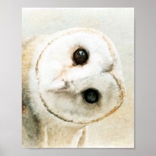 Cute Watercolor Uggla Poster