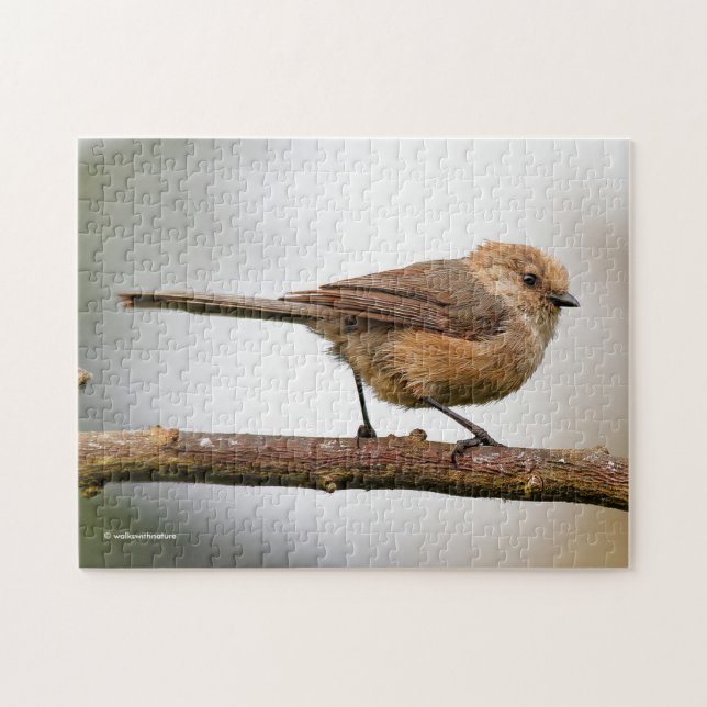 Cute Wee Bushtit Songbird på Fruit Träd Pussel (Horisontell)