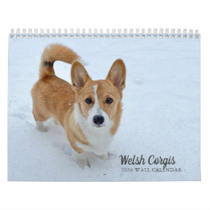 Cute Welsh Corgi Hund Photography 2026 Wall Kalender