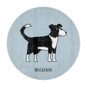 Cute Welsh Gräns Collie Hund