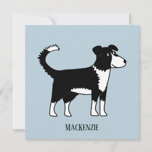 Cute Welsh Gräns Collie Sheepdog Anpassningsbar Ca
