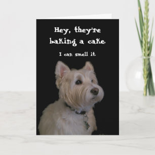 Cute Westie Birthday Card Kort