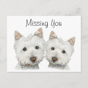 Cute Westie Hundar Vykort