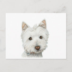 Cute Westie-vykort för Hund Vykort